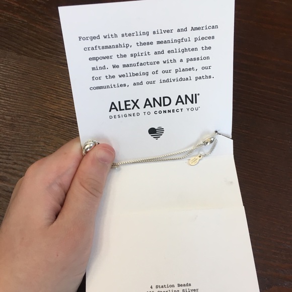 Alex and ani rhodonite gemstone necklace - Picture 5 of 5